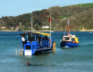 Salcombe ferry