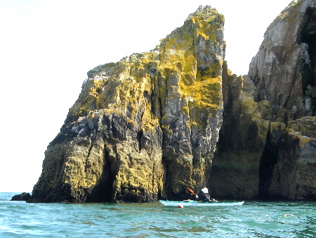 Berry Head cliffs