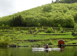 Ancient fields