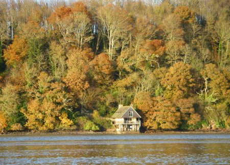 autumn colour on the Dart