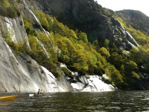 wooded cliff