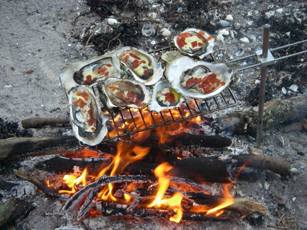 Cooking oysters