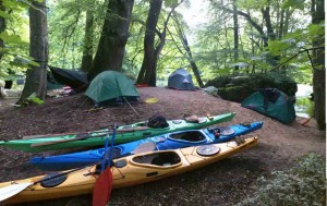 Staverton campsite